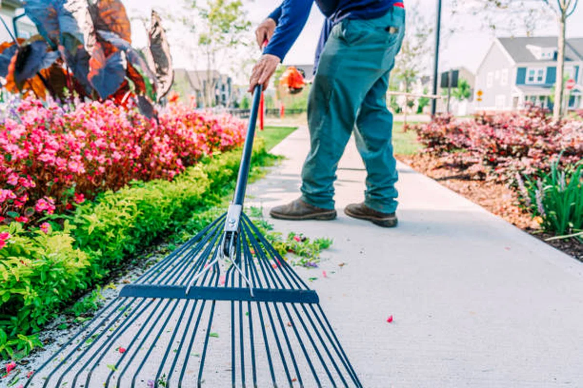 Landscape crew member maintaining flower beds beside a paved walkway