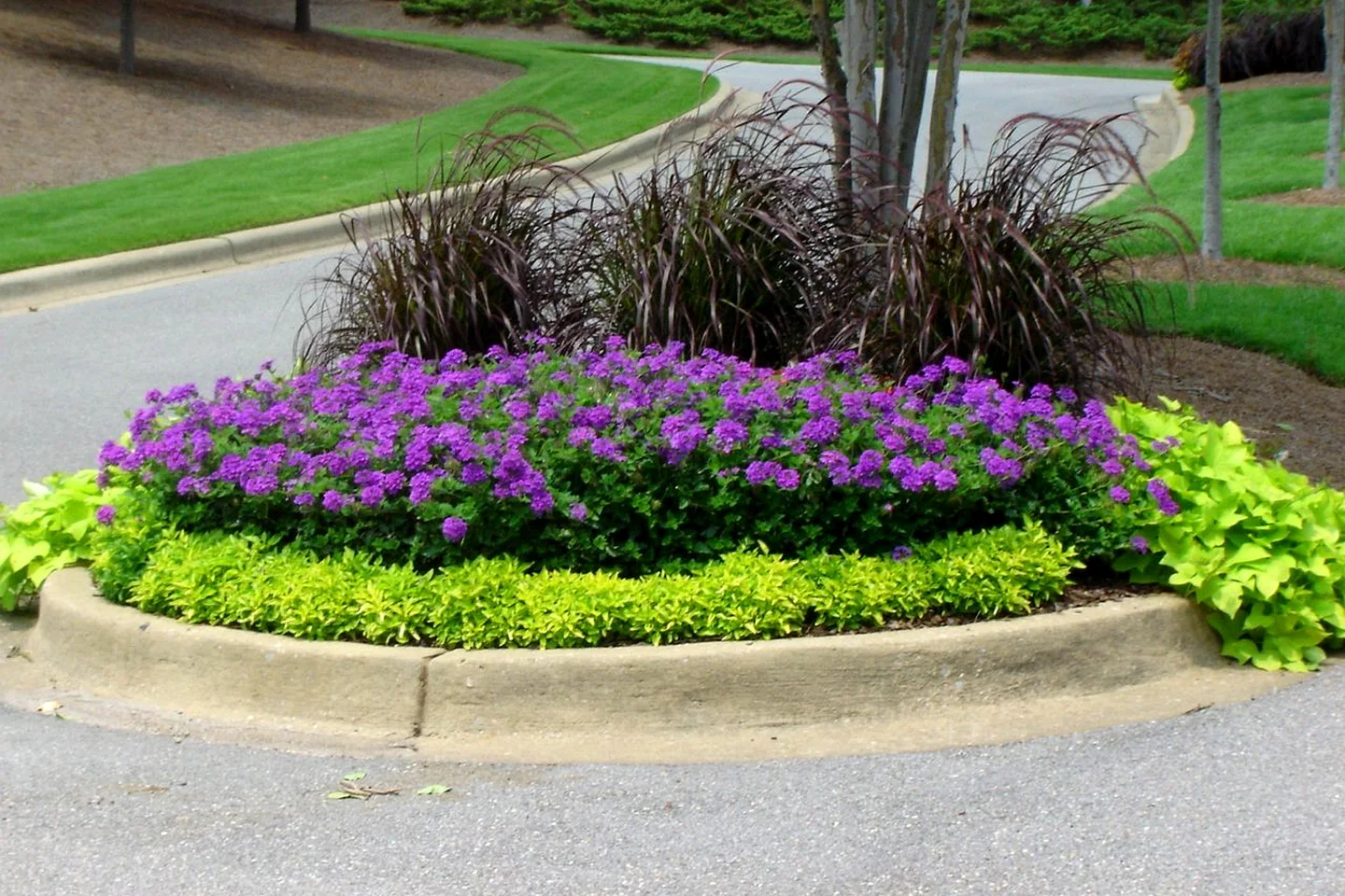 Landscaped community entrance with seasonal flowers and ornamental grasses